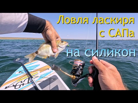 Видео: Ловля ЛАСКИРЯ на силикон с САПа. Новая раздача карася на оз. Донузлав