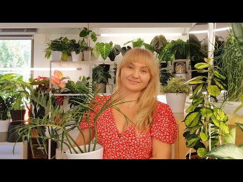 Видео: 🍀ОБЗОР НОВИНОК🍀Снова обнова и новости с полочек 😍
