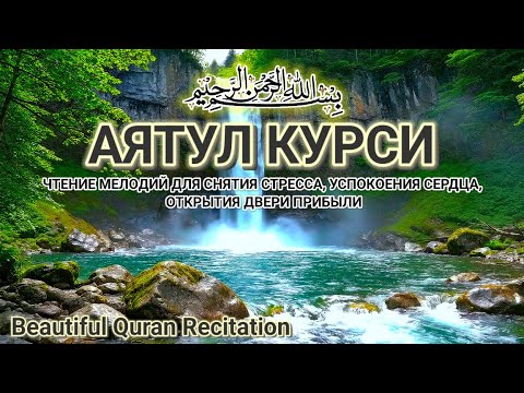 Видео: 1000 раз красивое и мелодичное чтение АЯТУЛ КУРСИ Расслабление Сердца и Души