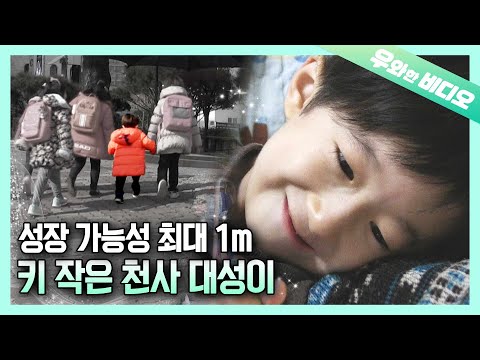 Видео: Маленький угол Daesung может расти только до 1 м (3’3)