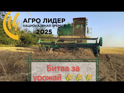 Видео: Уборка урожая пшеницы 2025! Заключительная часть.