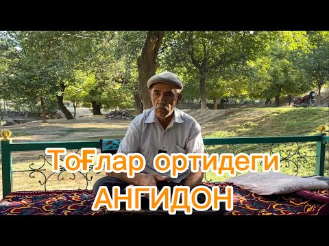 Видео: Тоғлар ортидеги хаёт
