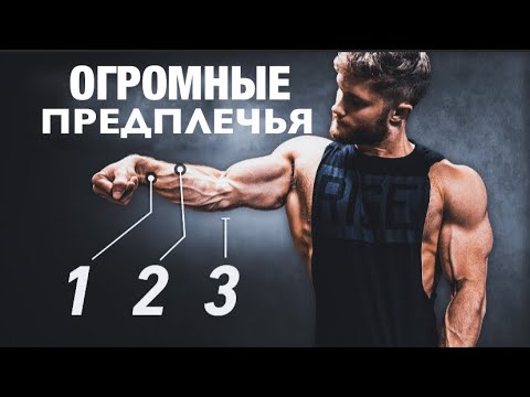 Видео: Как накачать предплечья? | Джефф Ниппард