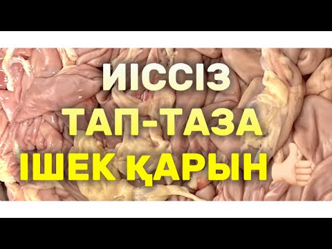 Видео: Осы жолмен тазаланған қарынның иісі болмайды. Жылқының ішек қарынын тазалау#соғым #қарынтазалау