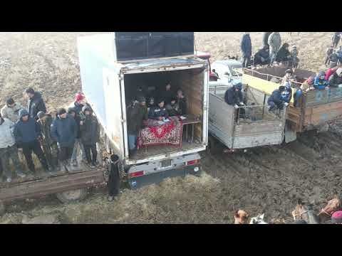 Видео: 17 12 2023 Сарыағаш Ақжар (степной) кокпар Келдібек ата 63-жас