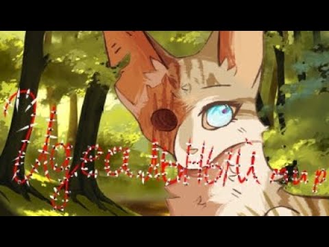 Видео: ♡Коты воители яролика//клип//идеальный мир♡