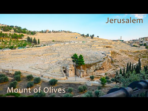 Видео: Иерусалим: Елеонская гора, Гефсимания, Золотые ворота, Львиные ворота, Дамасские ворота