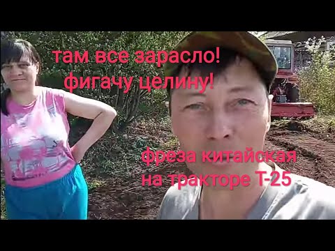 Видео: фреза китайская, распахиваю заброшенный огород.