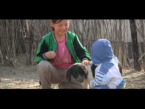 Видео: "Біздің ауыл" бағдарламасы 04.10.23 ж.