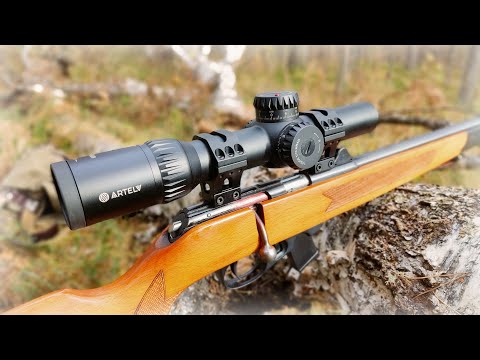 Видео: Советы по выбору оптического прицела на мелкашку.