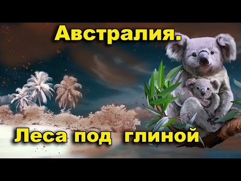 Видео: Австралия. Леса под глиной