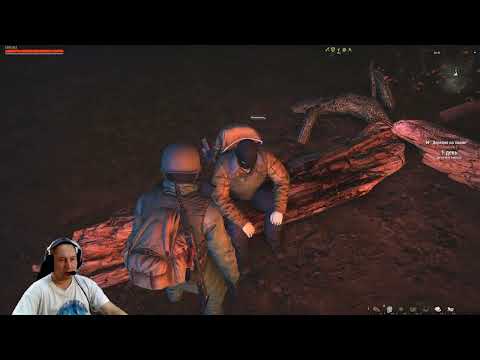 Видео: Задание: Зачистка леса. Stalker Online. Stay out. (Сталкер онлайн)