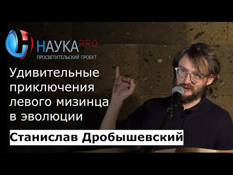 Видео: Удивительные приключения левого мизинца в эволюции – антрополог Станислав Дробышевский | Научпоп