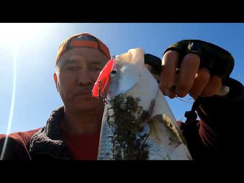 Видео: ЛОВЛЯ ЖЕРЕХА на СПИННИНГ в марте .СЕЗОН ОТКРЫТ.