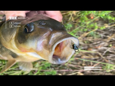 Видео: Шнур, который смог! Стеклянный спиннинг в Мормышинге.