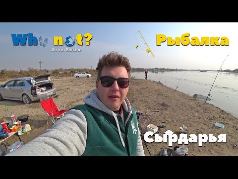 Видео: Палатка в инее но Улов Есть! Сырдарья-Ташкент. Рыбалка с Ночевкой