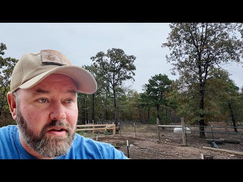 Видео: Новый бизнес не может открыться из-за банка!