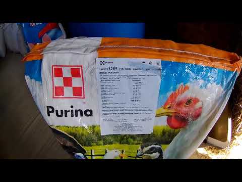 Видео: Лучший Комбикорм для бройлеров. БВМД Пурина.