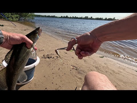 Видео: Ловля Судака на Донки с Берега / Рыбалка в Киеве на Днепре / Видеоотчет Июнь 2024