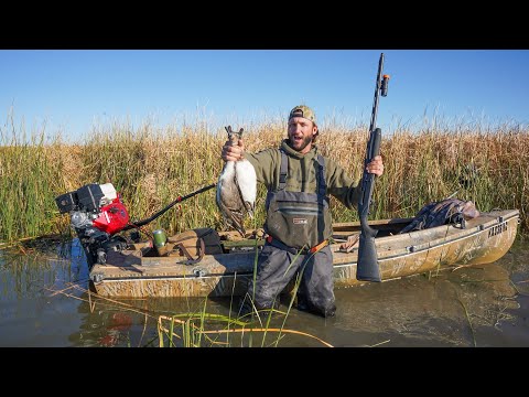 Видео: Охота на уток в общественных местах с моей новой лодкой!! (Шилохвость и свиязь)