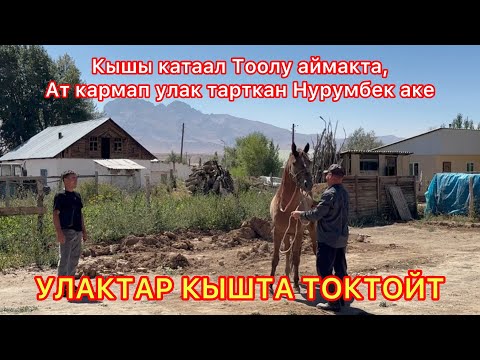 Видео: Кличка “МУСТАНК” Чаткалда аты чыккан аргымак. 