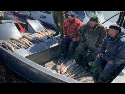 Видео: Лучшая подборка случаев с рыбалки 2024 / Пьяные на рыбалке / Браконьеры на рыбалке / Шок рыбалка