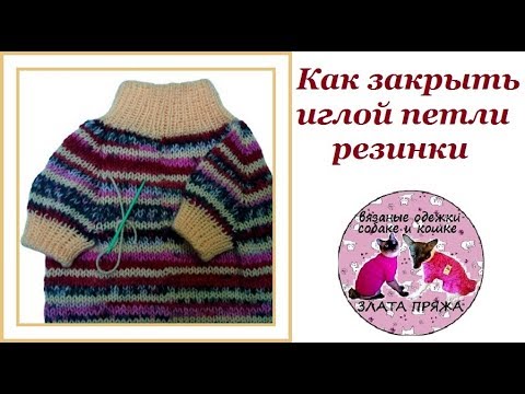 Видео: 21. Как закрыть иглой петли резинки. Окончание свитера для таксы. Часть 4.