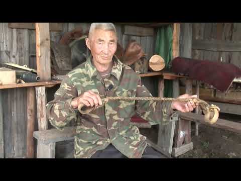 Видео: Шүдэр тухай ойлгуулна