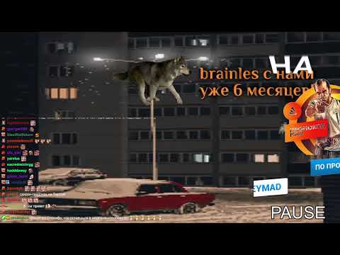 Видео: f4 выживание, day 1