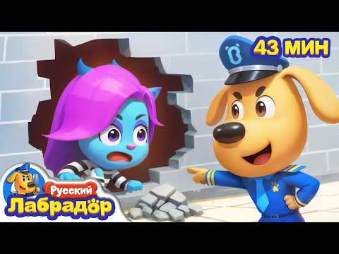 Видео: Спасательная операция Антиль | 🔍Популярный сборник мультиков для детей | Шериф Лабрадор