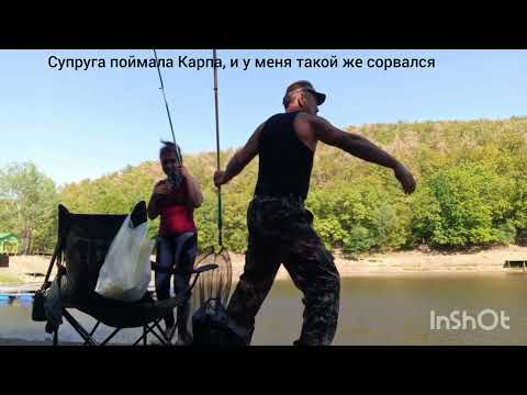 Видео: 1 августа 2025 г.