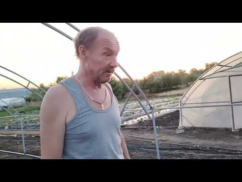 Видео: Ставимо шосту теплицю