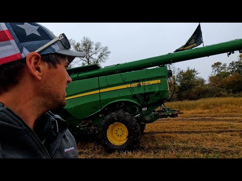 Видео: Мать-природа снова хочет сражаться! Эпизод 20