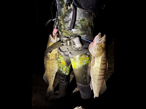 Видео: Зимове підводне полювання в річці Дніпро.