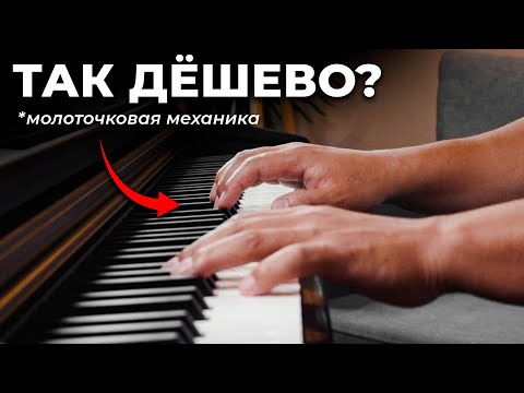 Видео: ЭТИ БЮДЖЕТНЫЕ цифровые пианино заменят НАСТОЯЩЕЕ акустическое фортепиано!