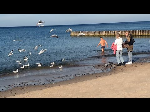 Видео: 😲В КАЛИНИНГРАДЕ +21°😲 НАРОД ПРОДОЛЖАЕТ КУПАТЬСЯ🌊 ВОДА 17°🌡️ ЧУДЕСНАЯ ОСЕНЬ🍁🔆