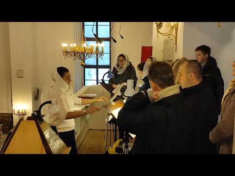 Видео: Встреча и облачение архиерея на Литургии