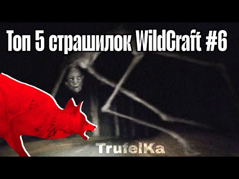 Видео: Топ 5 страшилок WildCraft #6 || TrufelKa WildCraft