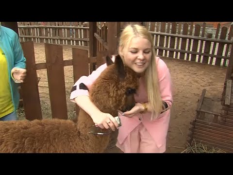 Видео: Путешествие в Ижевск. Привет, сосед!