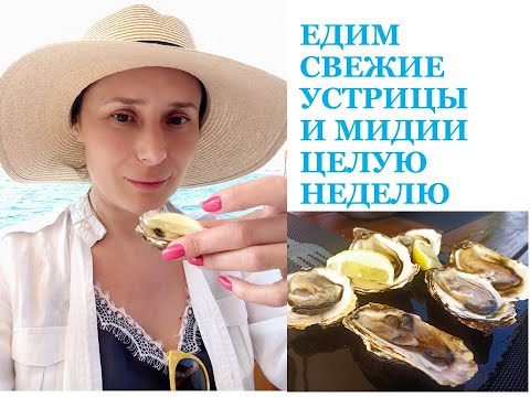 Видео: Устричная ферма в Bijela Montenegro  Черногория  Мы кушали свежие устрицы  почти каждый день