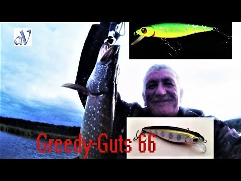 Видео: СЕГОДНЯ день Греди гатса\\Greedy-Guts 66SP-SR PONTOON21\\Заловил трофей!