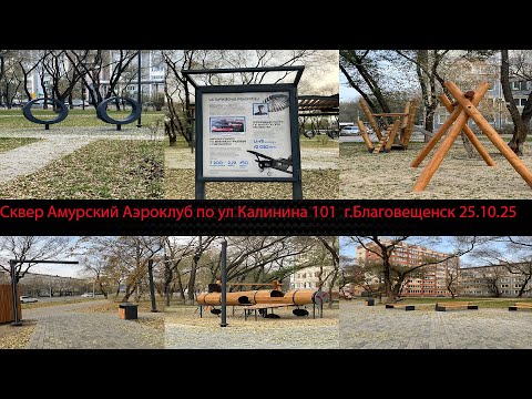 Видео: Сквер Амурский Аэроклуб по ул Калинина 101 г Благовещенск 25.10.25