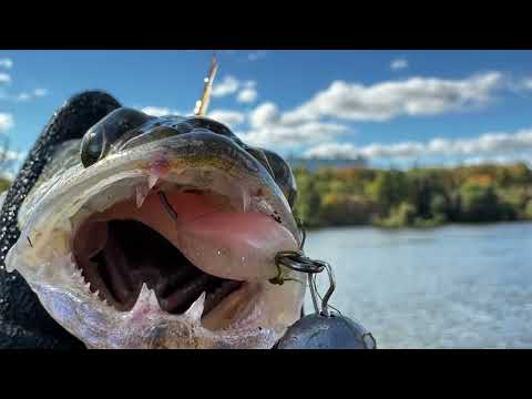 Видео: Спиннинг-Джиг с берега 🎣🎣🎣