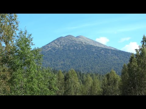 Видео: Экспедиция на пик Поднебесный в Кузнецком Алатау 23-25 августа 2023