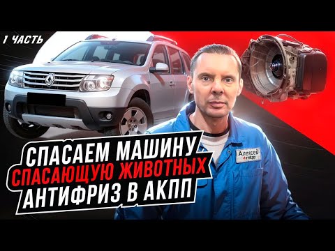 Видео: Спасаем машину, спасающую животных: ремонт АКПП Рено Дастер, антифриз в АКПП DP8. Дом Зайца