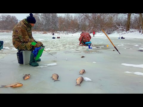 Видео: ВЕЛИКІ КАРАСІ НЕ ЛІЗУТЬ В ЛУНКУ. Зимова рибалка на карася