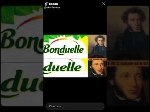 Видео: Лучшие литературные Tik Tok/русские писатели /русская литература