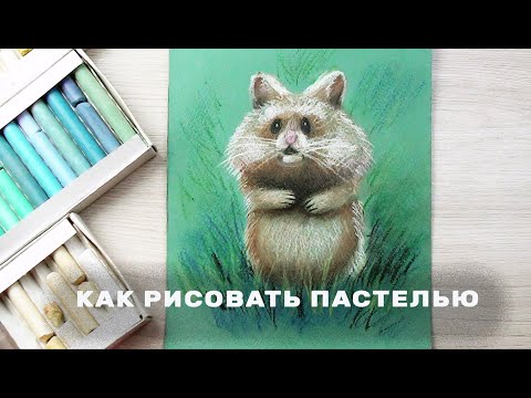 Видео: Как нарисовать хомяка сухой пастелью легко. Поэтапное рисование животных для начинающих.