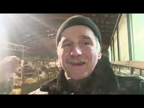 Видео: Село умирает без животных