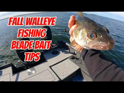 Видео: Ловля судака осенью — советы по использованию блейд-бейта